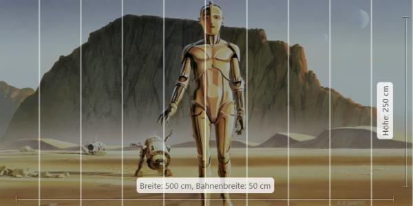 Fototapete DX10-051 - 500 x 250 cm - versandkostenfrei